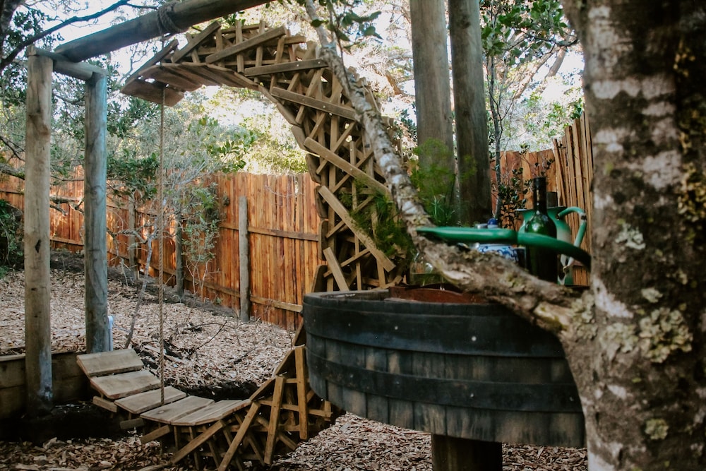 wilderness