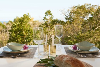 treedom villas and vardos