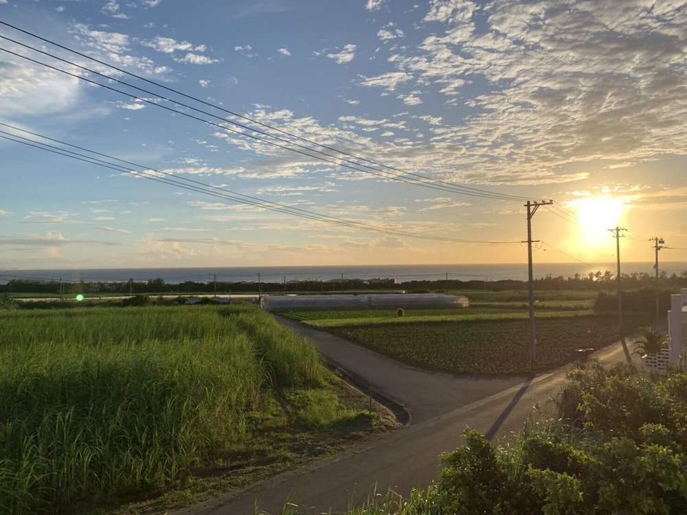 yomitan