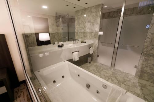 hilton garden inn santiago del estero