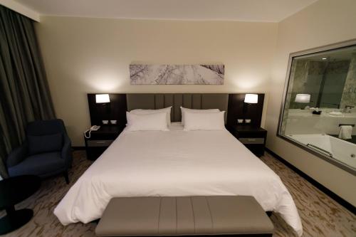 hilton garden inn santiago del estero