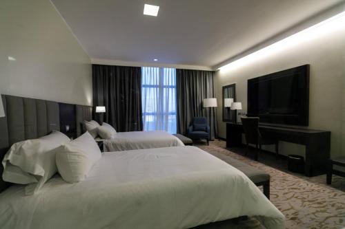 hilton garden inn santiago del estero