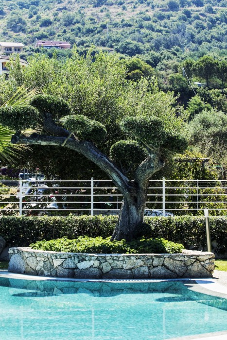 park oasi residence