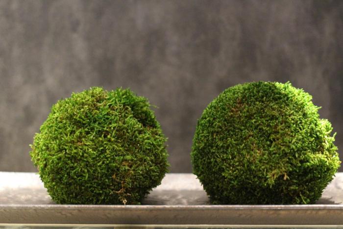 koko hotel tsukiji ginza