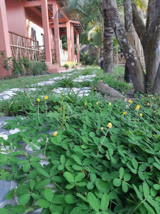 an an boutique homestay