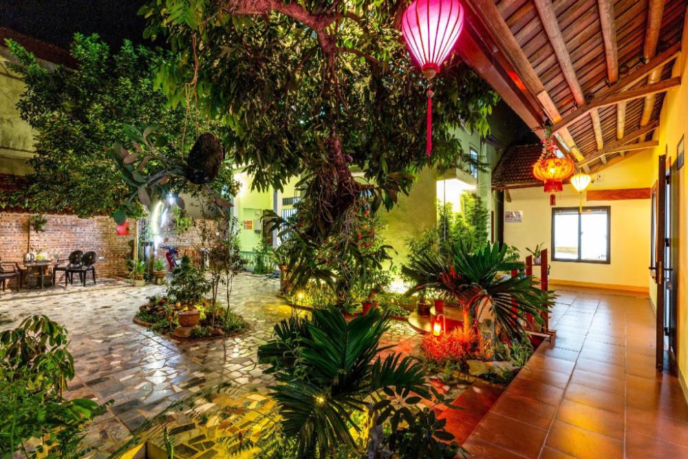 tam coc lotus flower homestay