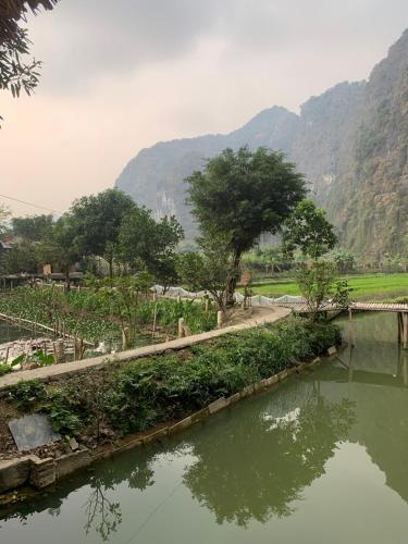 tam coc lotus flower homestay