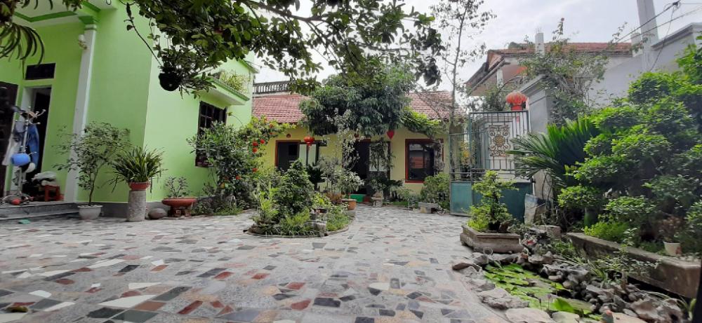 tam coc lotus flower homestay