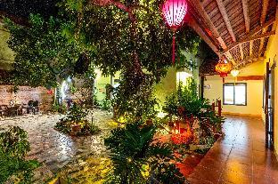 tam coc lotus flower homestay