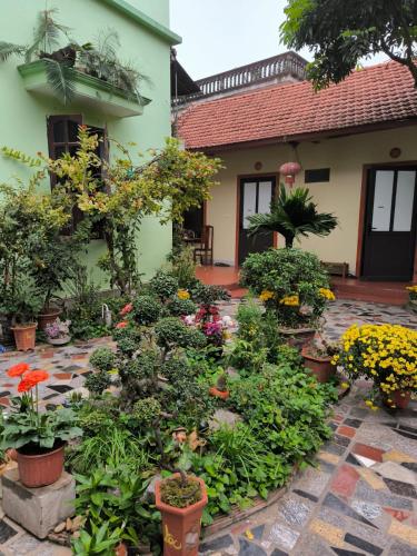 tam coc lotus flower homestay