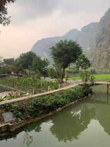 hoa lu