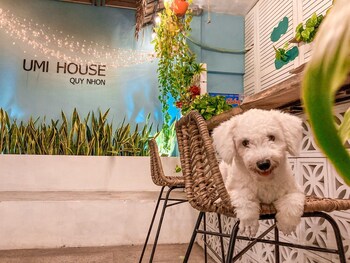 umi house quy nhon