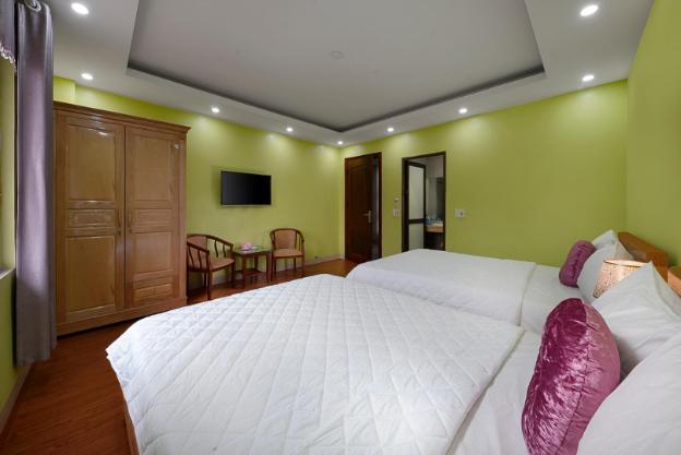 golden lotus airport hotel