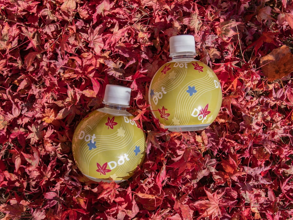 dot glamping fujisan