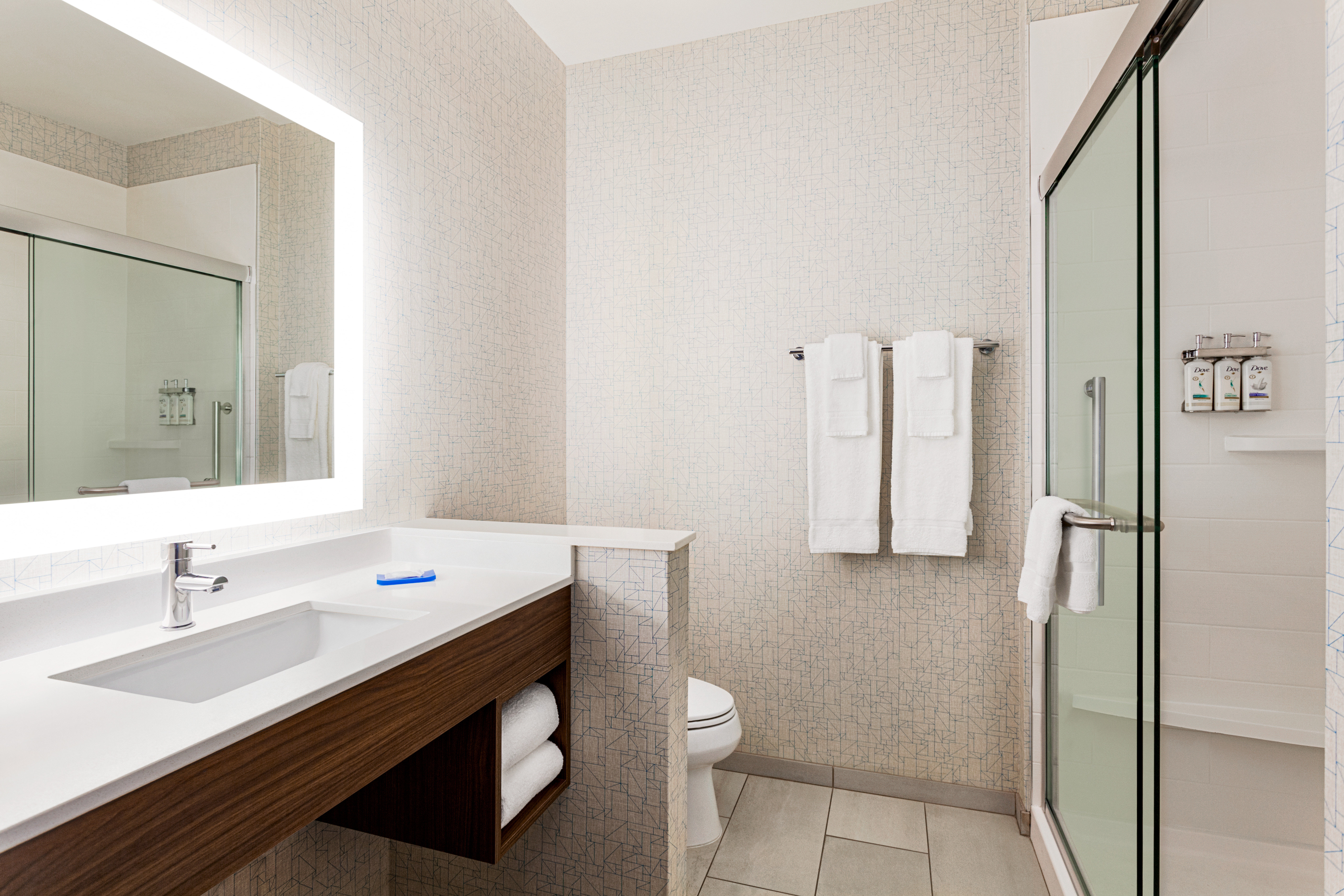 holiday expr and suites austin north