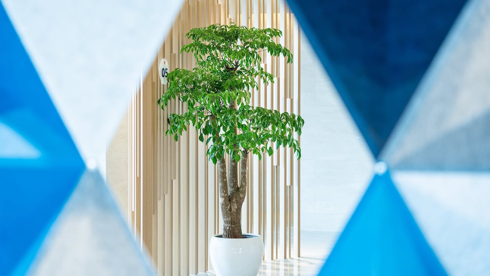 holiday inn express yangjiang city center an ihg hotel