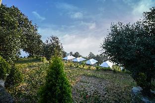 katyuri nature view resort