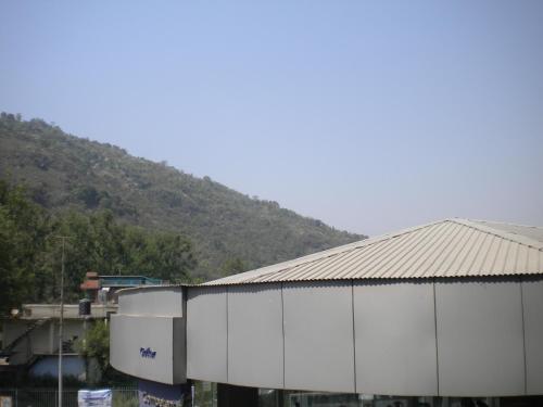 mandi