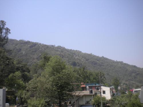 mandi