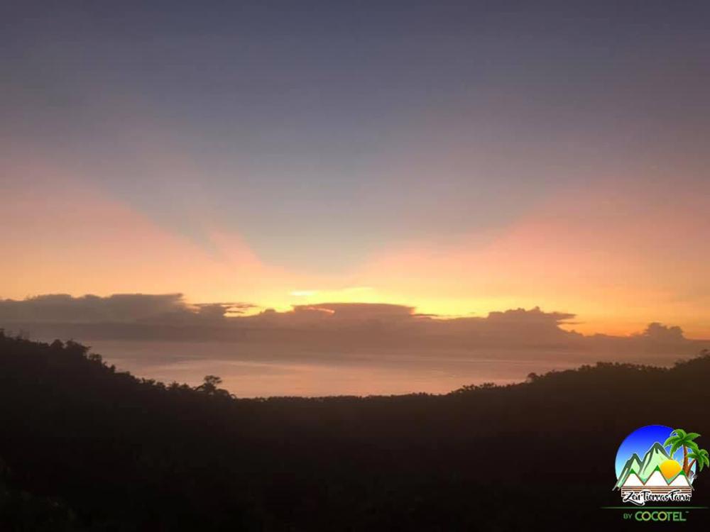 zen tierras farm by cocotel