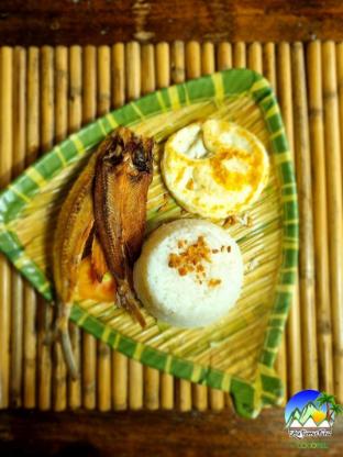 zen tierras farm by cocotel