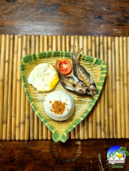 zen tierras farm by cocotel