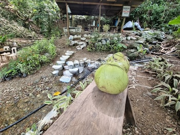 zen tierras farm by cocotel