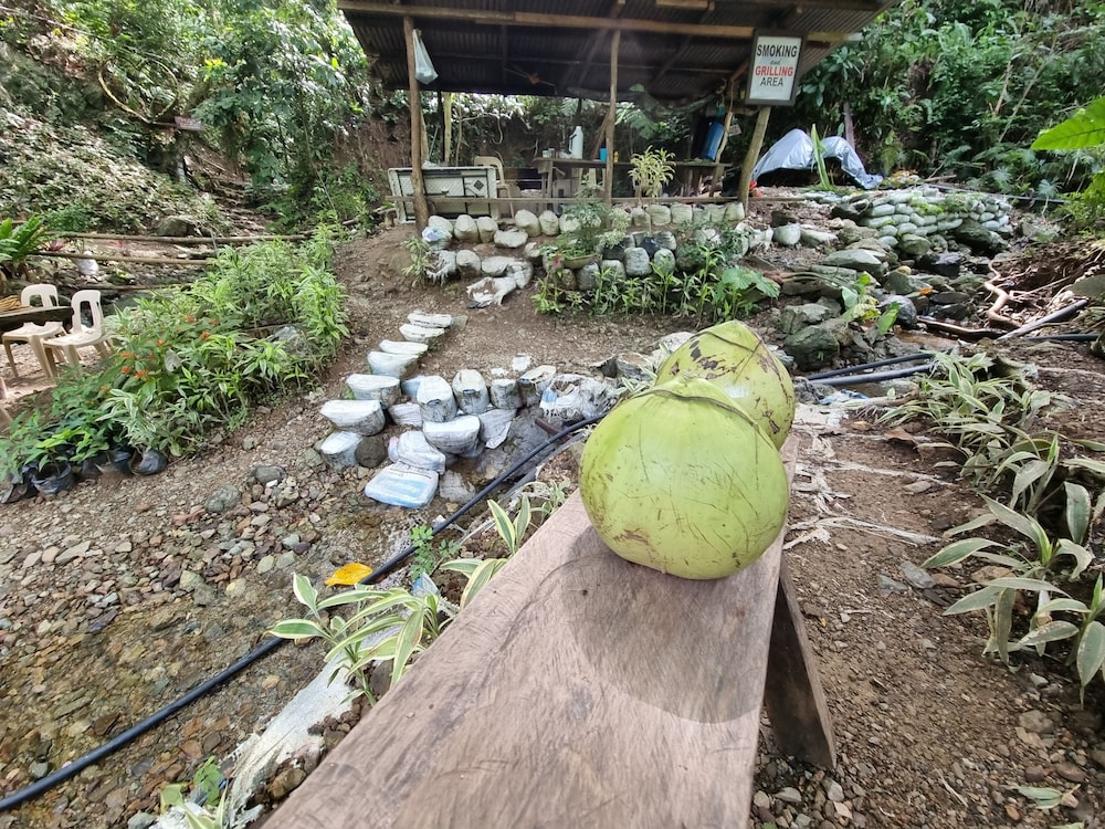 zen tierras farm by cocotel