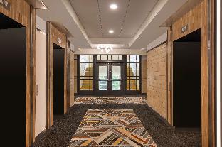 the slate denver tapestry collection by hilton