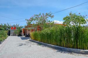 reddoorz near taman makam pahlawan tatura