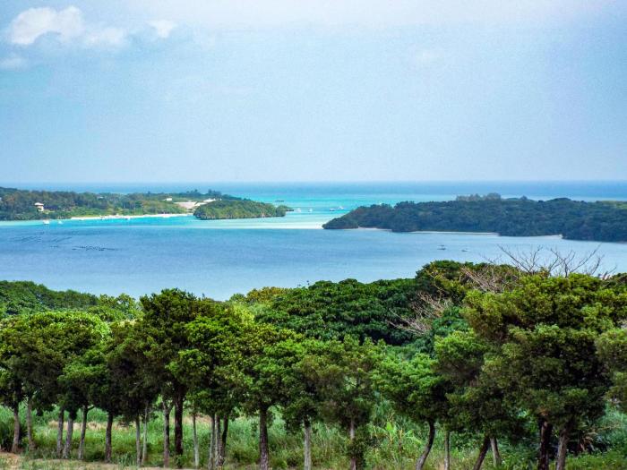 ishigaki