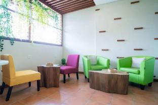 koolkost inep kayu jebres