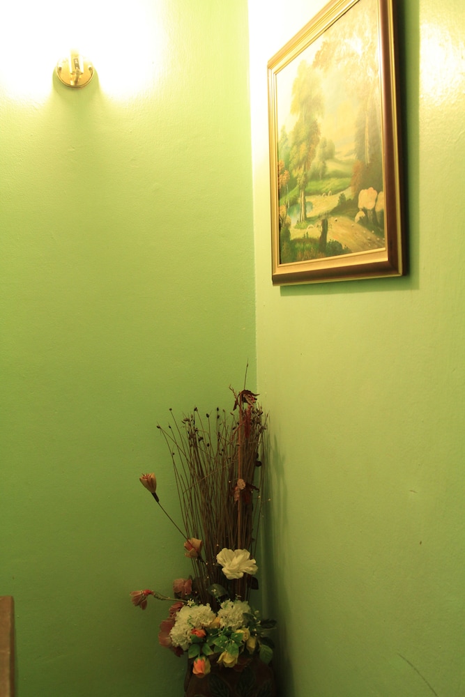 swan inn2 guest house