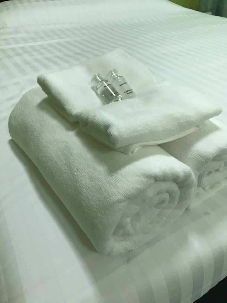 swan inn2 guest house