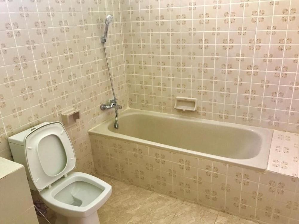 swan inn2 guest house