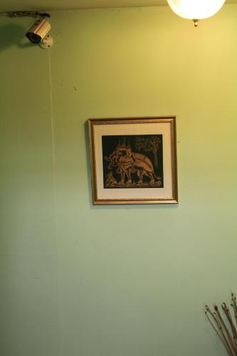 swan inn2 guest house