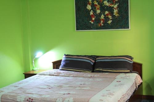 swan inn2 guest house