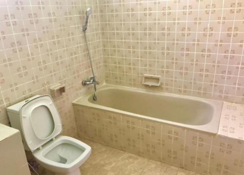 swan inn2 guest house