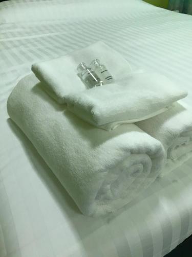 swan inn2 guest house