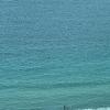 donghae oceancity residence hotel