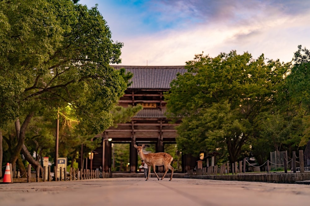 hotel tenpyo naramachi