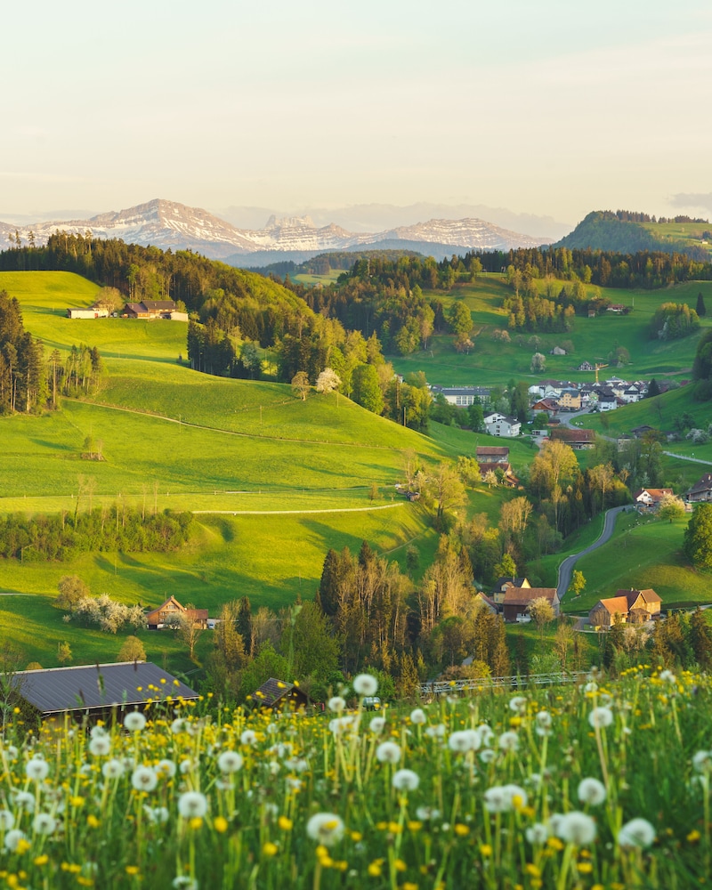 mosnang