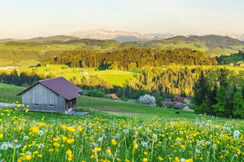 mosnang