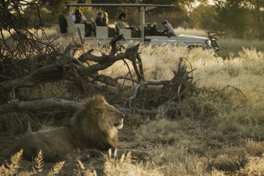 habitas namibia