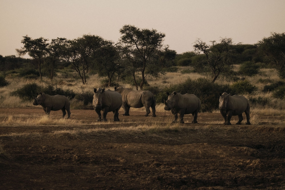 habitas namibia
