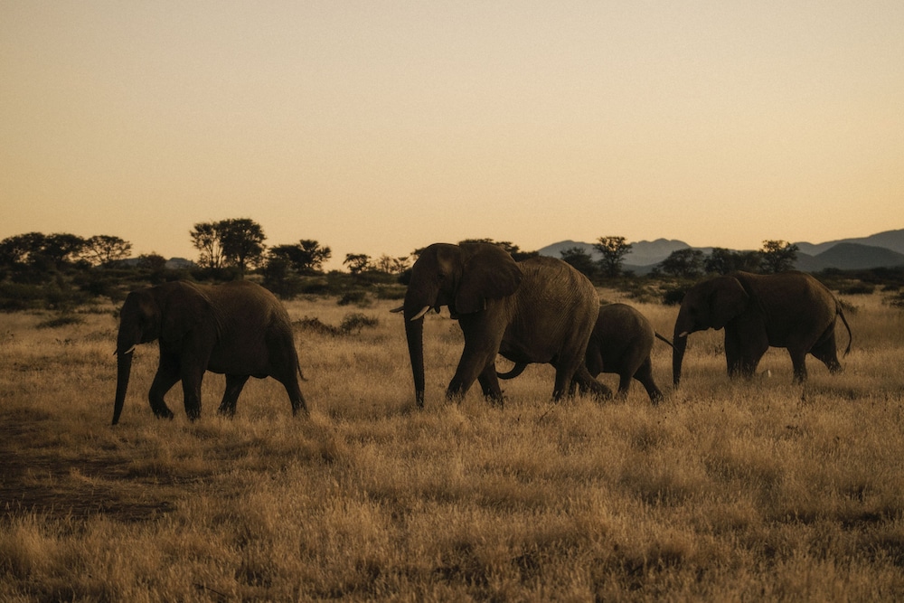 habitas namibia