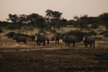 habitas namibia