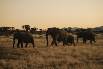 habitas namibia