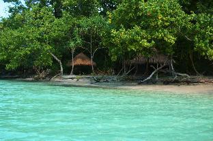 nikki peucang island resort