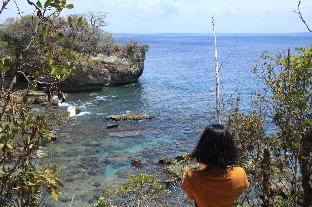 nikki peucang island resort